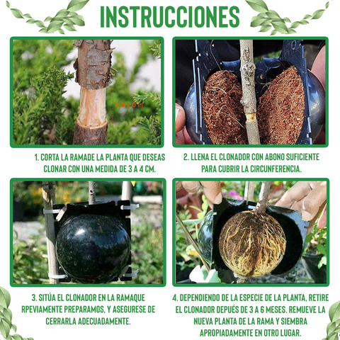 ¡Exclusivo! Clonex© Clonador de Plantas x 5 Unidades.